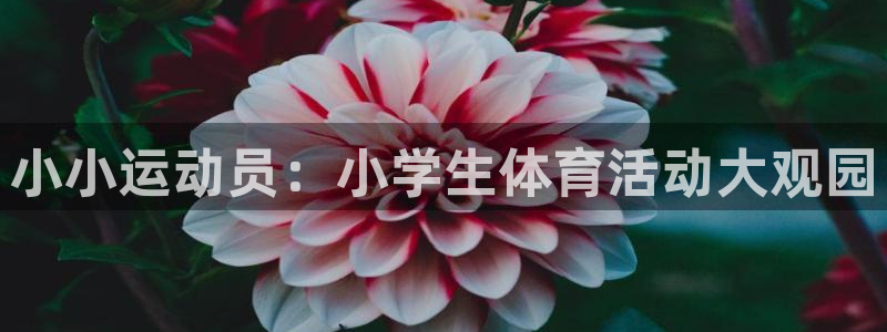 鲸鱼体育怎么下载：小小运动员：小学生体育活动大观园