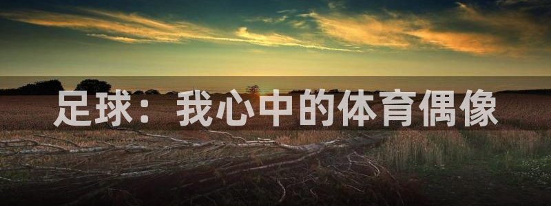 鲸鱼体育直播平台