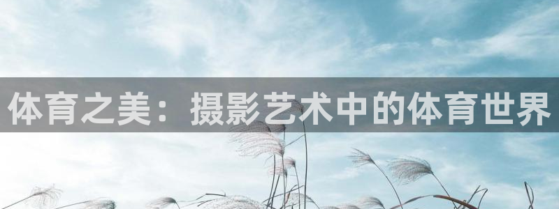 鲸鱼体育在线直播nba