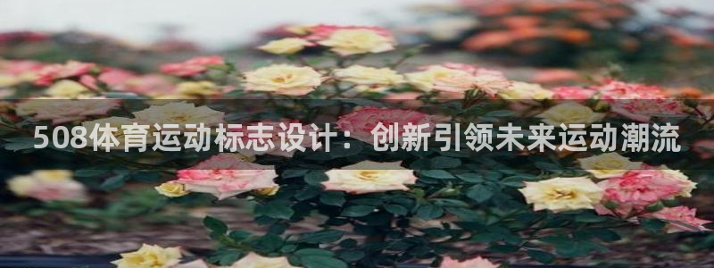 鲸鱼体育网址多少