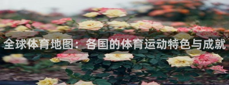 鲸鱼体育是什么