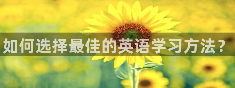 鲸鱼体育app官方下载入口