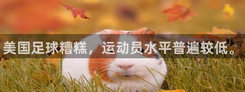 鲸鱼体育app下载安卓版