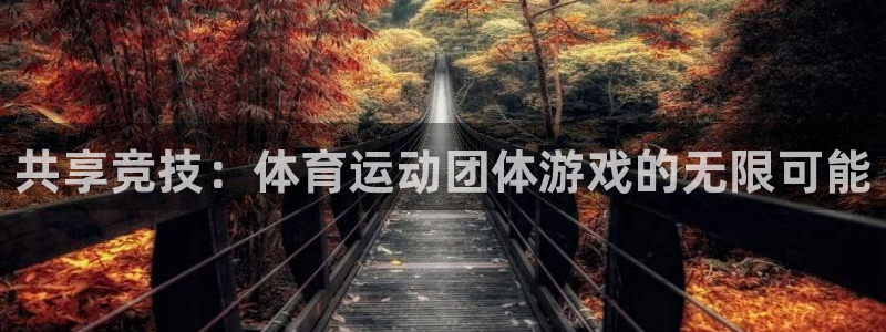 鲸鱼体育nba直播免费观看高清：共享竞技：体育运动团体游戏的无限可能