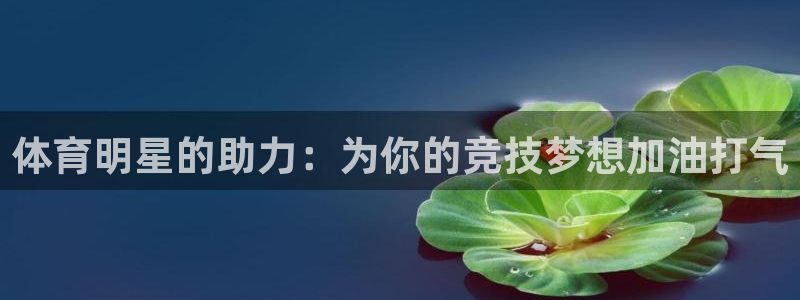 鲸鱼体育app官方下载入口：体育明星的助力：为你的竞技梦想加油打气