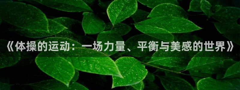 鲸鱼体育ios版官方下载：《体操的运动：一场力量、平衡与美感的世界》